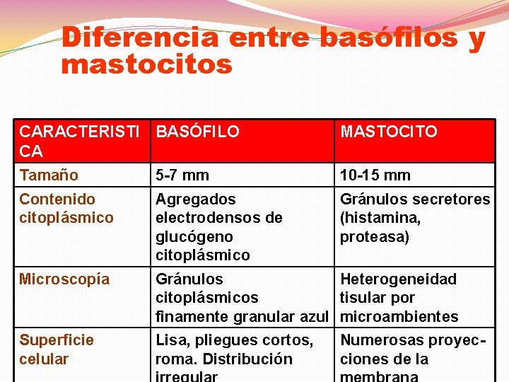 Diferencia entre basófilos y mastocitos CARACTERISTI CA Tamaño Contenido citoplásmico BASÓFILO MASTOCITO 5 -7