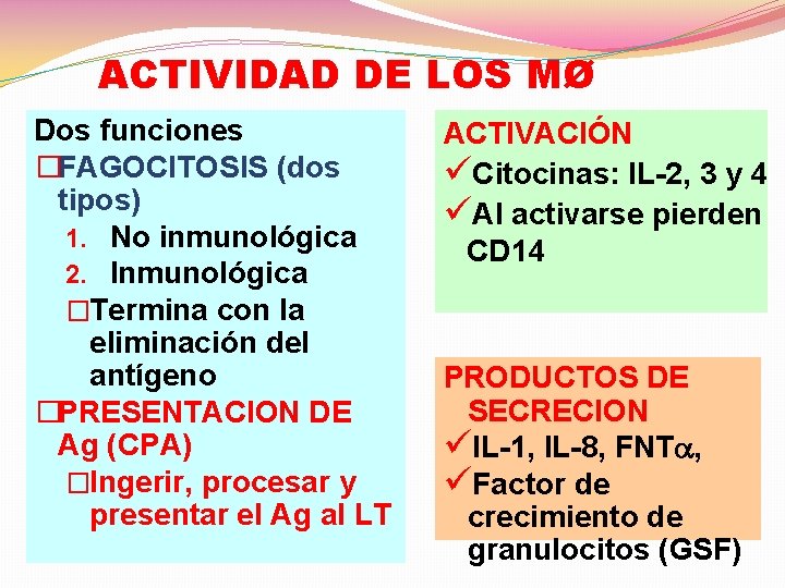 ACTIVIDAD DE LOS MØ Dos funciones �FAGOCITOSIS (dos tipos) 1. No inmunológica 2. Inmunológica