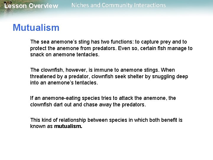 Lesson Overview Niches and Community Interactions Mutualism The sea anemone’s sting has two functions: