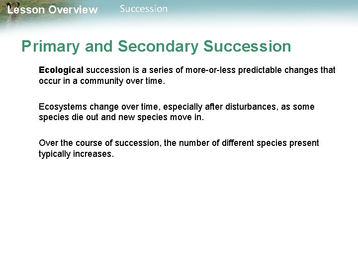 Lesson Overview Succession Primary and Secondary Succession Ecological succession is a series of more-or-less