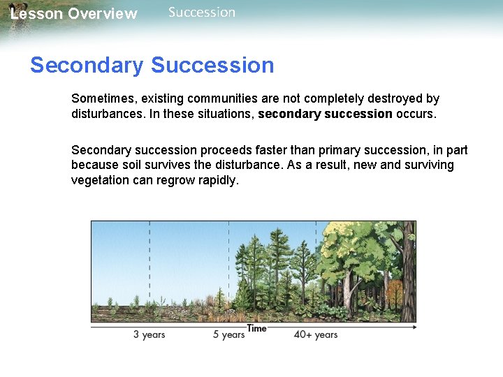 Lesson Overview Succession Secondary Succession Sometimes, existing communities are not completely destroyed by disturbances.