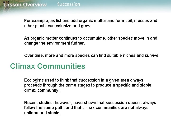 Lesson Overview Succession For example, as lichens add organic matter and form soil, mosses