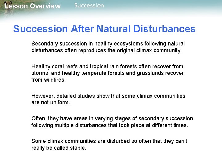 Lesson Overview Succession After Natural Disturbances Secondary succession in healthy ecosystems following natural disturbances