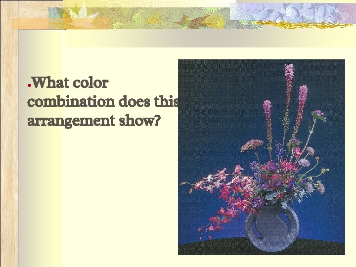 What color combination does this arrangement show? ● 