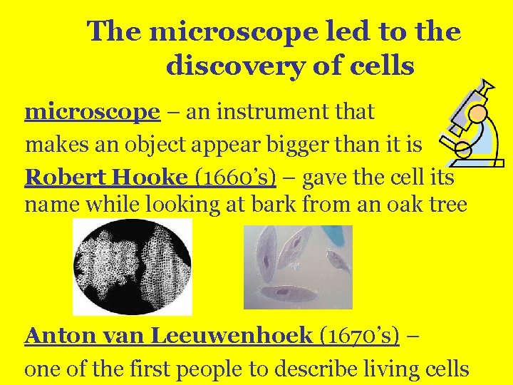 The microscope led to the discovery of cells microscope – an instrument that makes