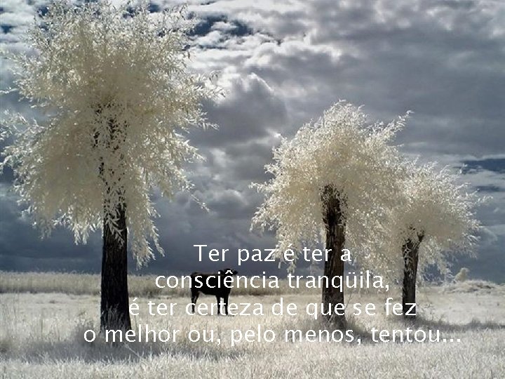 Ter paz é ter a consciência tranqüila, é ter certeza de que se fez