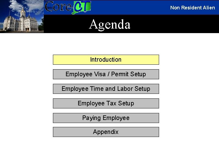 Non Resident Alien Agenda Introduction Employee Visa / Permit Setup Employee Time and Labor