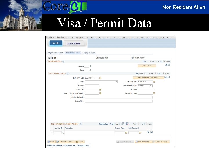 Non Resident Alien Visa / Permit Data 