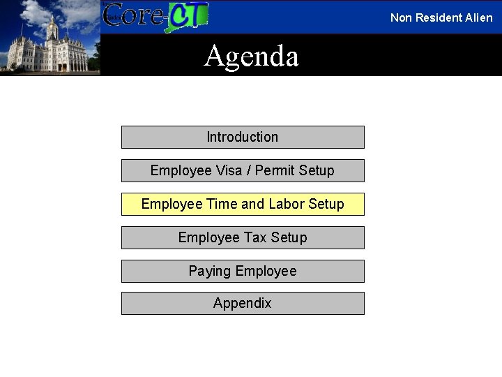 Non Resident Alien Agenda Introduction Employee Visa / Permit Setup Employee Time and Labor