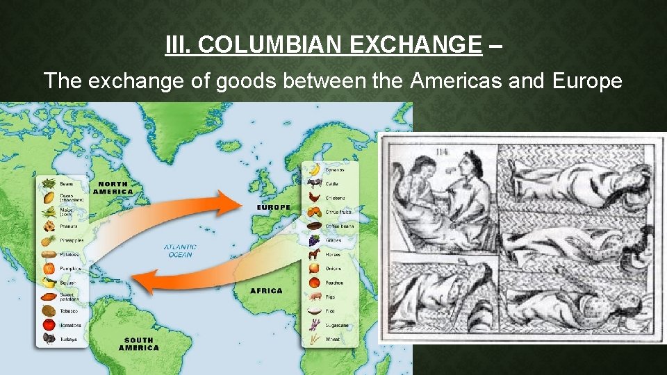 III. COLUMBIAN EXCHANGE – The exchange of goods between the Americas and Europe 