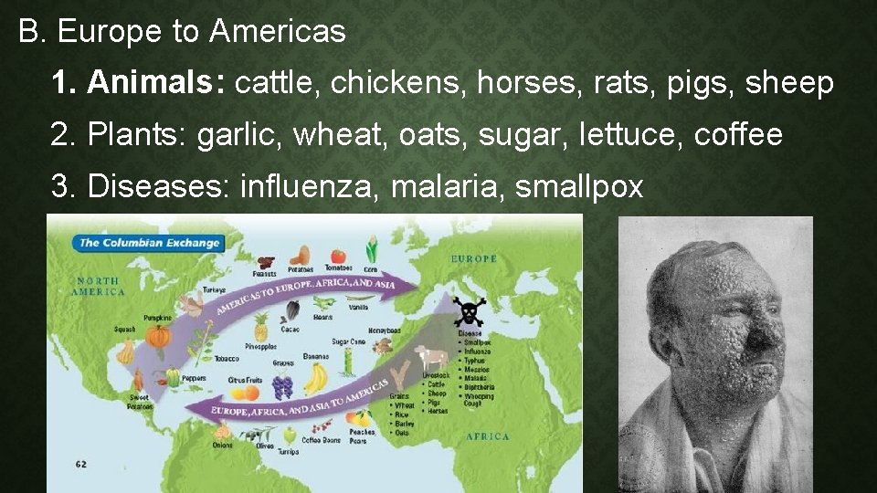 B. Europe to Americas 1. Animals: cattle, chickens, horses, rats, pigs, sheep 2. Plants: