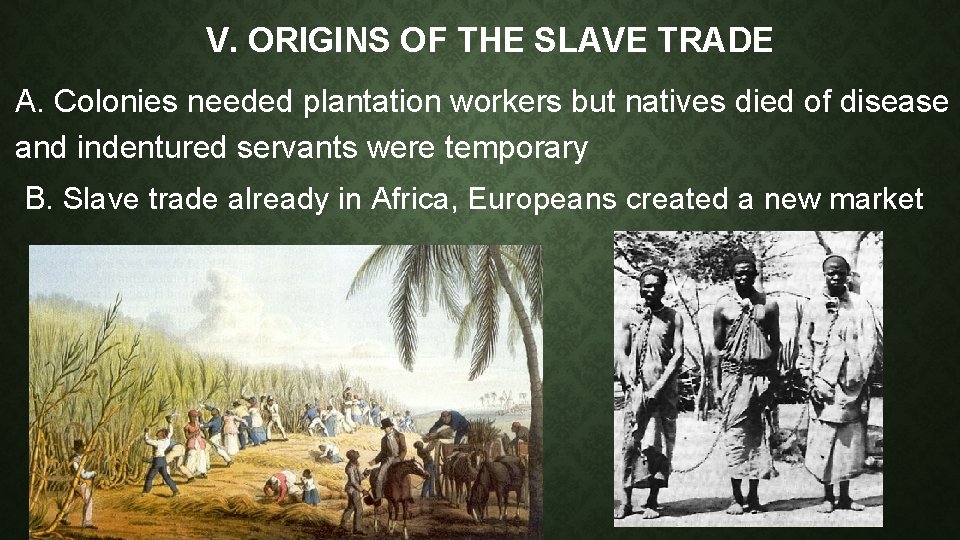 V. ORIGINS OF THE SLAVE TRADE A. Colonies needed plantation workers but natives died