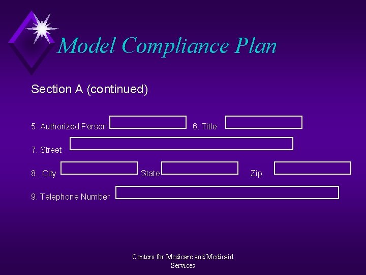 Model Compliance Plan Section A (continued) 5. Authorized Person 6. Title 7. Street 8.