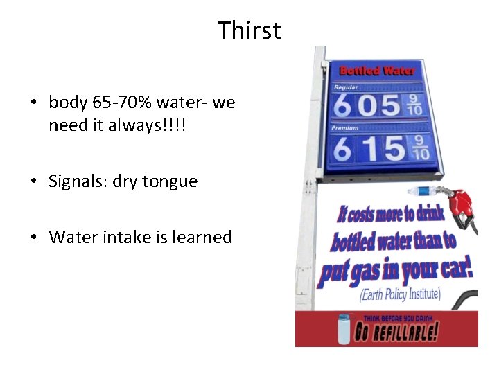 Thirst • body 65 -70% water- we need it always!!!! • Signals: dry tongue