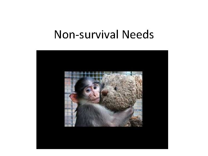 Non-survival Needs 