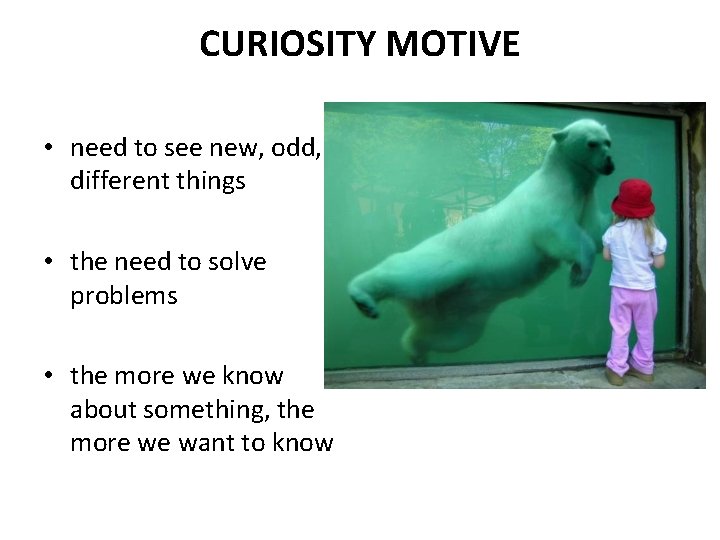 CURIOSITY MOTIVE • need to see new, odd, different things • the need to