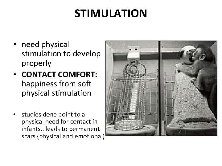 STIMULATION • need physical stimulation to develop properly • CONTACT COMFORT: happiness from soft