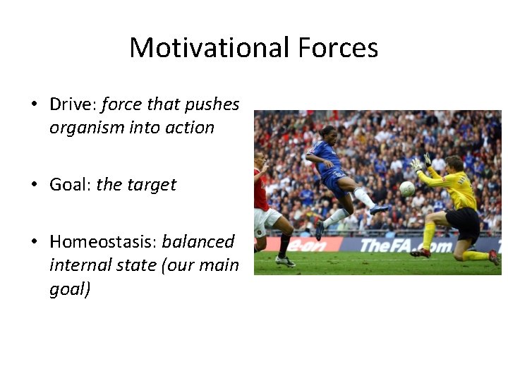 Motivational Forces • Drive: force that pushes organism into action • Goal: the target