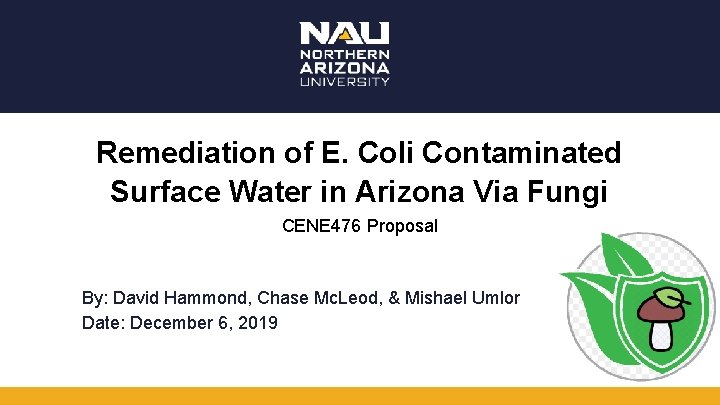 Remediation of E. Coli Contaminated Surface Water in Arizona Via Fungi CENE 476 Proposal