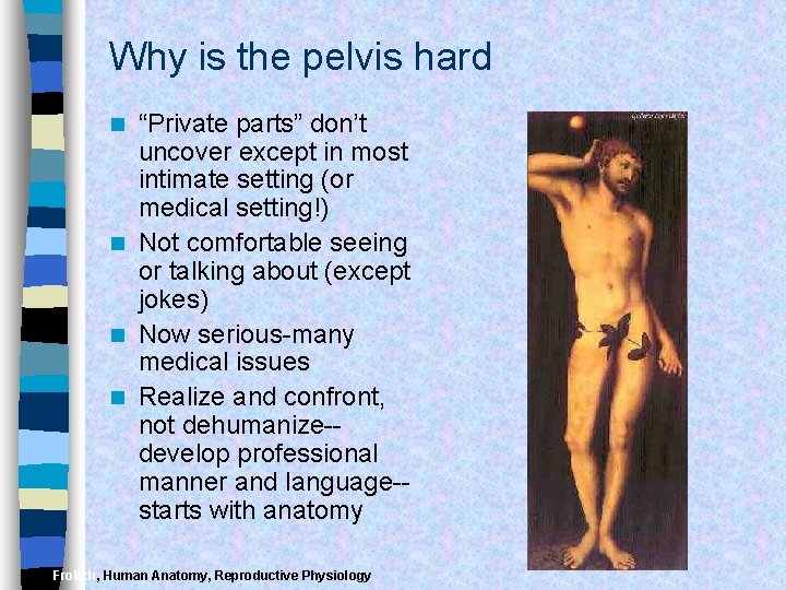Why is the pelvis hard “Private parts” don’t uncover except in most intimate setting