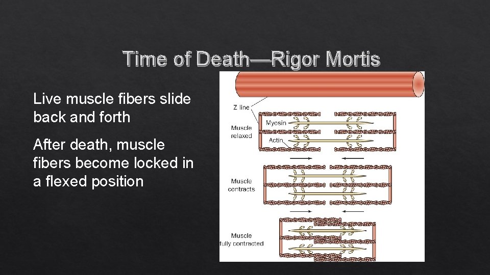 Investigation of Death Introduction to manner mechanism cause
