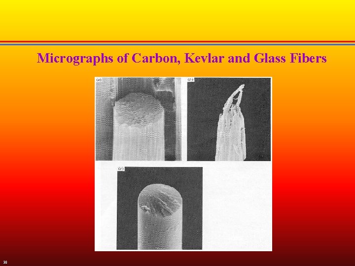 Micrographs of Carbon, Kevlar and Glass Fibers 30 