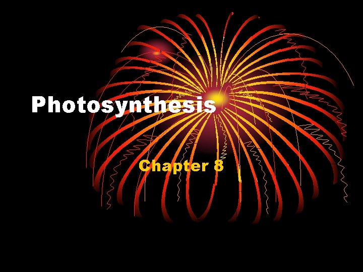 Photosynthesis Chapter 8 