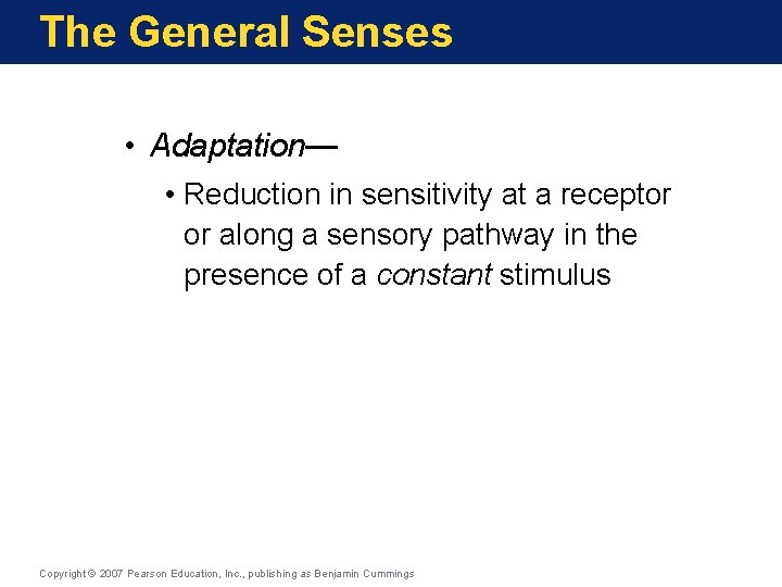 The General Senses • Adaptation— • Reduction in sensitivity at a receptor or along
