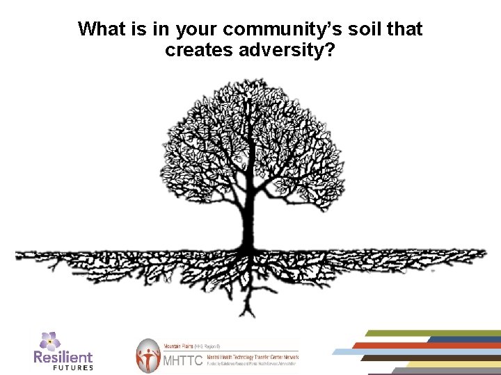 What is in your community’s soil that creates adversity? 