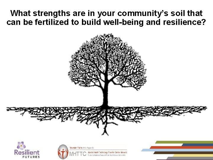What strengths are in your community’s soil that can be fertilized to build well-being