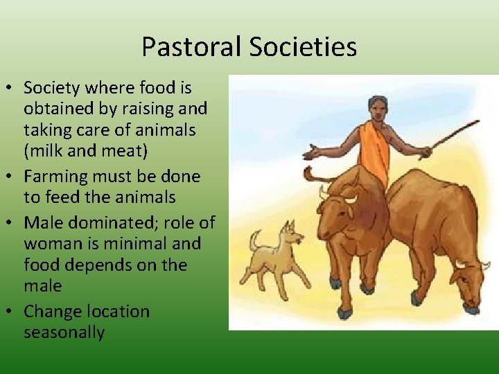 Pastoral Societies • Society where food is obtained by raising and taking care of