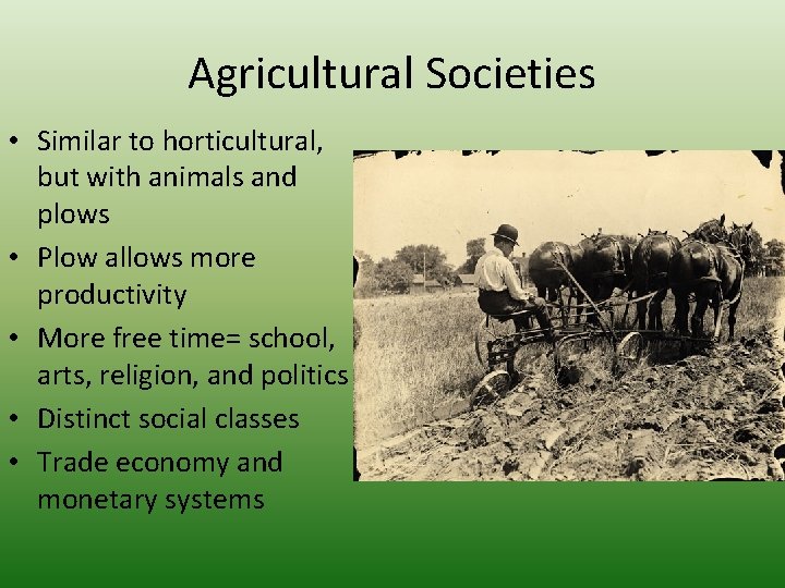 Agricultural Societies • Similar to horticultural, but with animals and plows • Plow allows