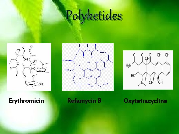 Polyketides Erythromicin Refamycin B Oxytetracycline 
