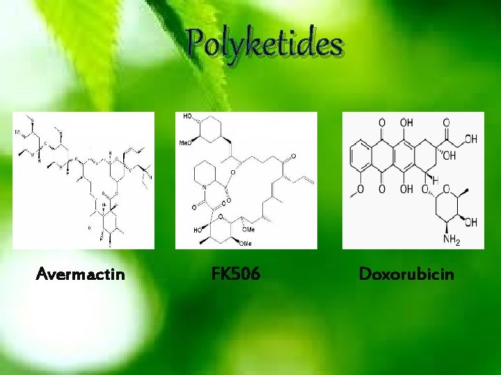Polyketides Avermactin FK 506 Doxorubicin 
