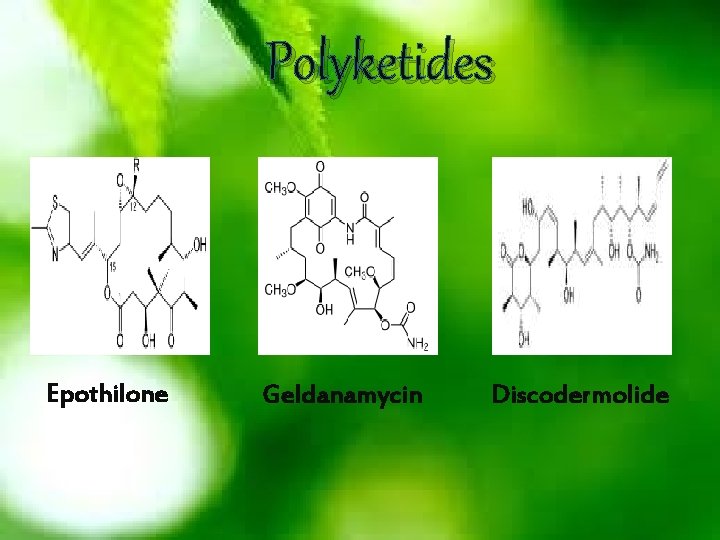 Polyketides Epothilone Geldanamycin Discodermolide 