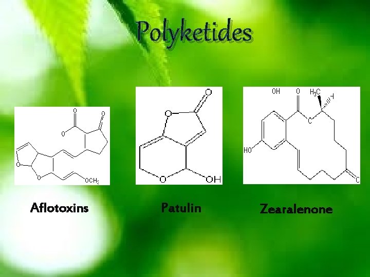 Polyketides Aflotoxins Patulin Zearalenone 