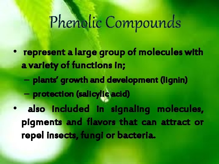 Phenolic Compounds • represent a large group of molecules with a variety of functions