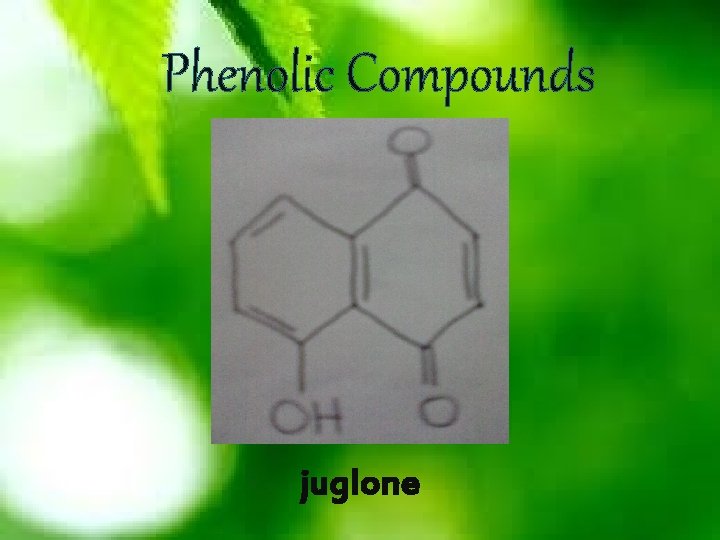 Phenolic Compounds juglone 
