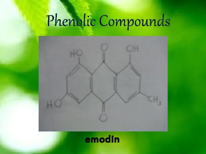 Phenolic Compounds emodin 