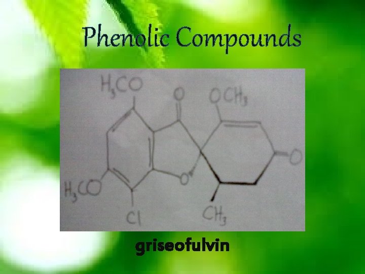 Phenolic Compounds griseofulvin 