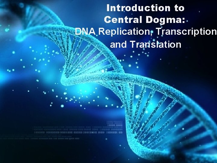 Introduction to Central Dogma: DNA Replication, Transcription and Translation 