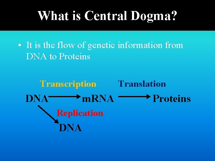 What is Central Dogma? • It is the flow of genetic information from DNA