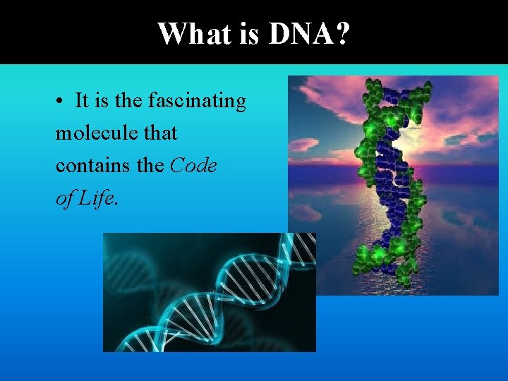 What is DNA? • It is the fascinating molecule that contains the Code of