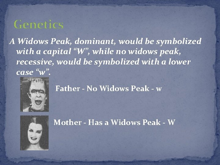 Genetics A Widows Peak, dominant, would be symbolized with a capital “W”, while no