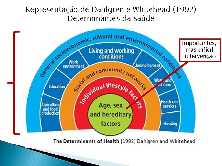 Representação de Dahlgren e Whitehead (1992) Determinantes da saúde Importantes, mas difícil intervenção 