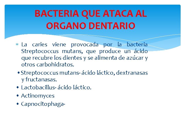 BACTERIA QUE ATACA AL ORGANO DENTARIO La caries viene provocada por la bacteria Streptococcus