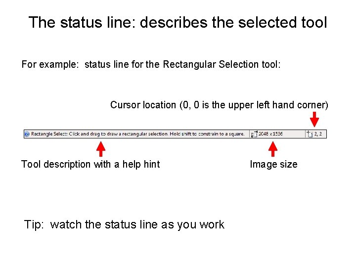 The status line: describes the selected tool For example: status line for the Rectangular