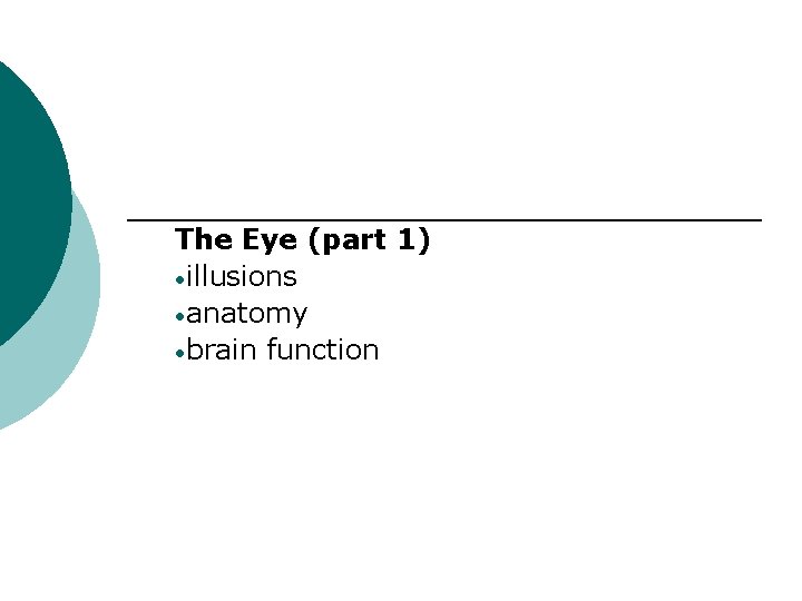 The Eye (part 1) • illusions • anatomy • brain function 