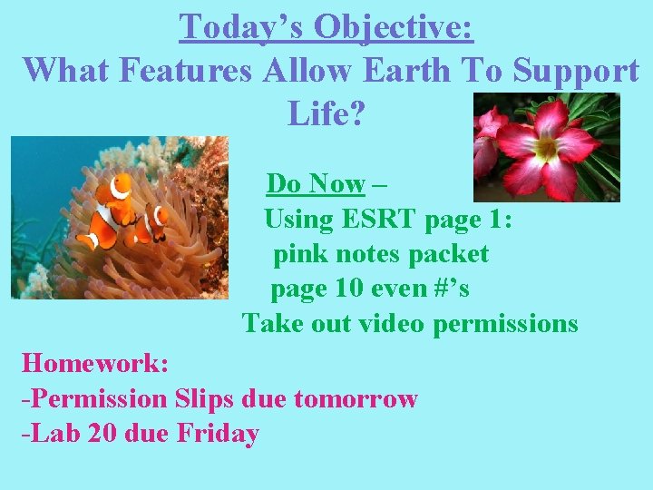 Today’s Objective: What Features Allow Earth To Support Life? . Do Now – Using