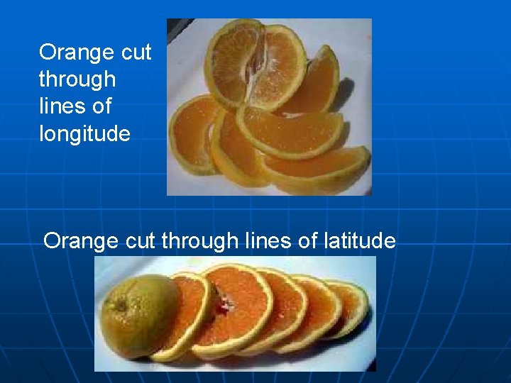 Orange cut through lines of longitude Orange cut through lines of latitude 